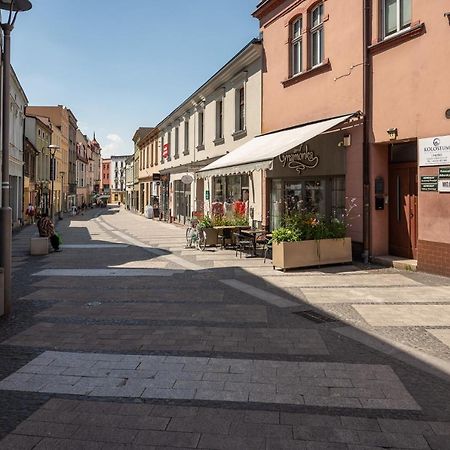 Central Platinum Apartments 24 Rybnik  Exterior foto